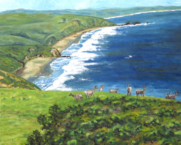 Point Reyes Tule Elk Oil Painting